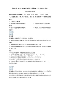 2022-2023学年浙江省杭州市高三上学期第一次适应性考试化学试题（解析版）