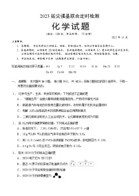 2022-2023学年重庆市强基联合体高三上学期11月拔尖强基联合定时检测化学试题