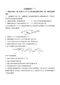 高中化学全真模拟卷01（原卷版）