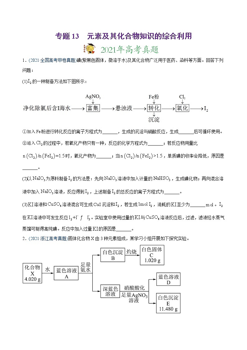 高中化学专题13 元素及其化合物知识的综合应用-2021年高考化学真题与模拟题分类训练（学生版）第1页