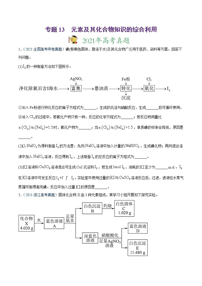 高中化学专题13 元素及其化合物知识的综合应用-2021年高考真题和模拟题化学分项汇编（原卷版）第1页