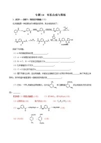 高中化学专题14 有机物合成与推断（解析版）