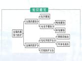 人教版 (2019)  高中  化学 选择性必修1 第四章 第三节　金属的腐蚀与防护 课件