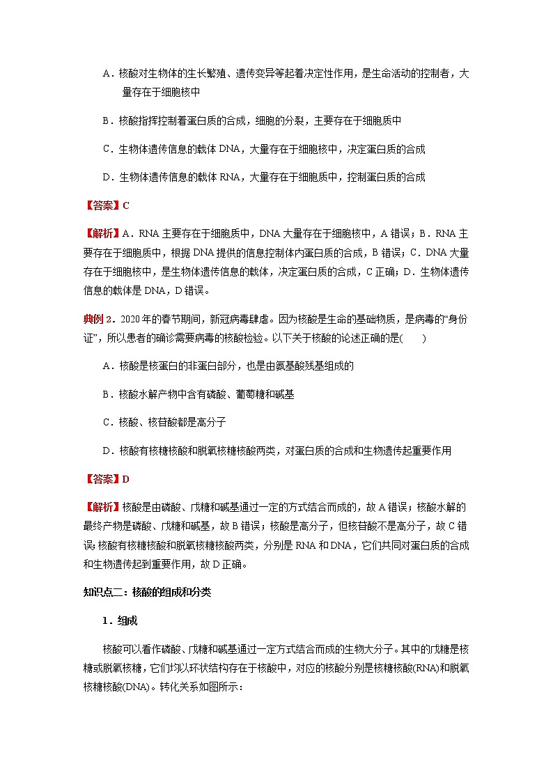 4.3 核酸（解析版）-2022-2023学年高二化学同步素养目标精品讲义（人教版2019选择性必修3）第2页