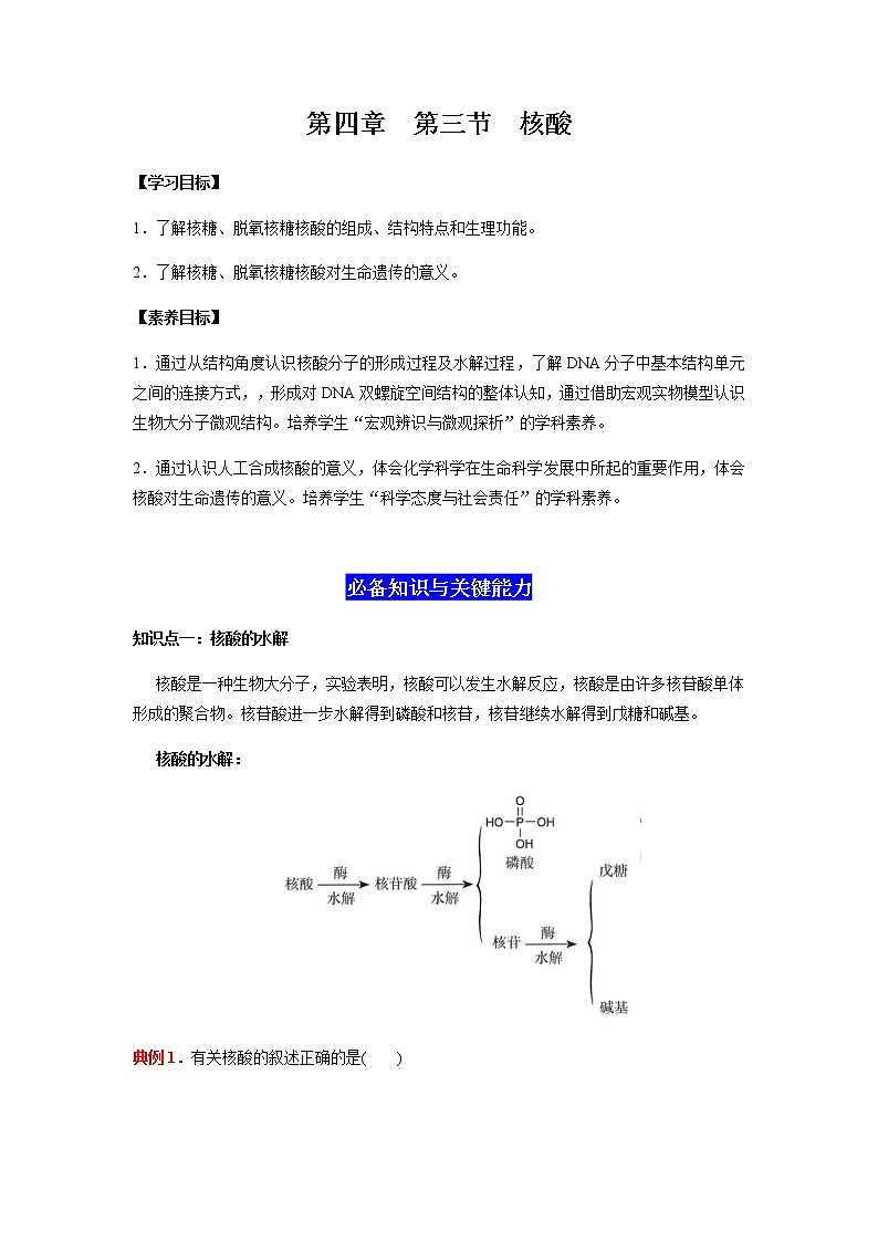 4.3 核酸（原卷版）-2022-2023学年高二化学同步素养目标精品讲义（人教版2019选择性必修3）第1页