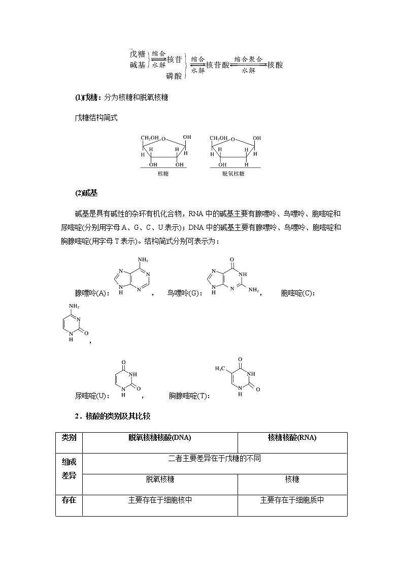 4.3 核酸（原卷版）-2022-2023学年高二化学同步素养目标精品讲义（人教版2019选择性必修3）第3页