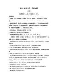 2023衡阳高三上学期第一次统一考试（一模）化学试卷含解析