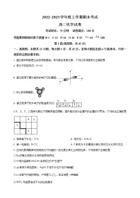 湖北省武汉外国语名校2022-2023学年高二上学期期末考试化学试卷（解析版）