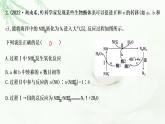 2023届高考化学二轮复习专题一化学语言与概念选择题突破二氧化还原反应与离子反应课件