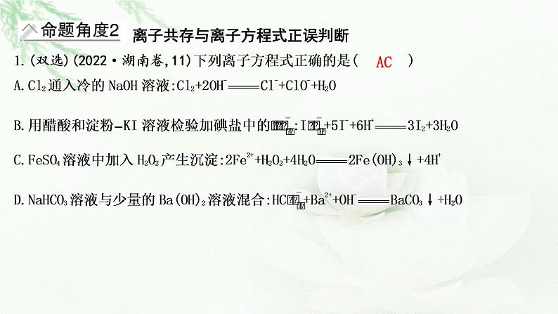 2023届高考化学二轮复习专题一化学语言与概念选择题突破二氧化还原反应与离子反应课件第7页