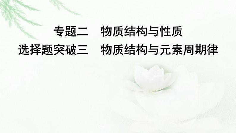 2023届高考化学二轮复习专题二物质结构与性质选择题突破三物质结构与元素周期律课件01