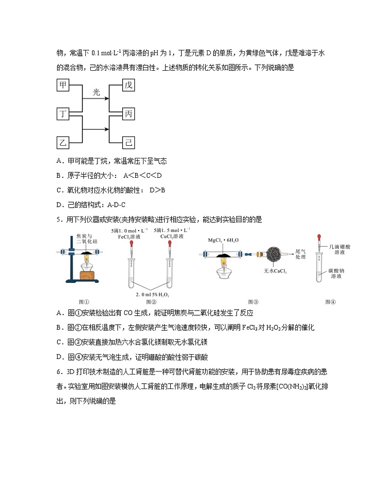 【高考化学】山东省2022-2023学年专项突破仿真模拟试题（一模二模）含解析第2页