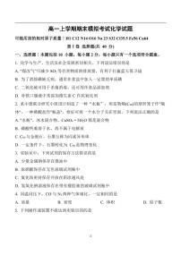 山东省菏泽市山大附中实验学校2022-2023学年高一年级上学期1月份期末考前模拟-化学