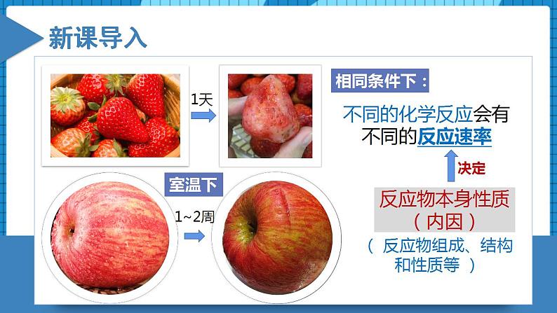 2.1.2 影响化学反应速率的因素（同步课件+同步练习）高二化学同步备课系列（人教版2019选择性必修1）03