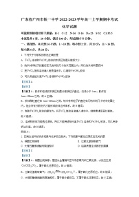 2022-2023学年广东省广州市铁一中学高一上学期期中考试化学试题 解析版