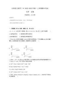 2022-2023学年云南省玉溪市二中高一上学期期中考试化学试题