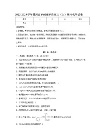 2022-2023学年四川省泸州市泸县高三（上）期末化学试卷（含解析）