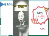 2.1.3钠盐与焰色试验（教学课件+课后练习）高一化学同步备课系列（人教版2019必修第一册）