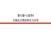 2023高考化学总复习微专题大素养含硫化合物的转化与应用08课件