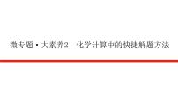 2023高考化学总复习微专题大素养化学计算中的快捷解题方法02课件