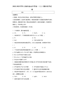 2022-2023学年上海市金山中学高一（上）期末化学试卷（含解析）