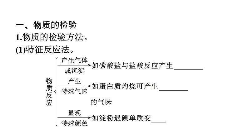 2021-2022学年化学苏教版必修第一册课件：专题2 第一单元 第2课时　常见物质的检验及性质和变化探究05