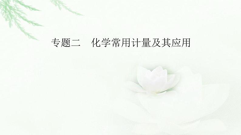 2023届高考化学二轮复习专题2化学常用计量及其应用课件01