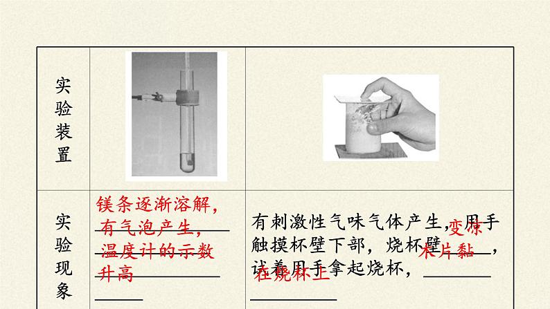 化学反应与能量变化课件PPT05