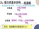 配套新教材-高中化学-RJ-必修第二册-第七章 第四节 第2课时 蛋白质 油脂课件PPT