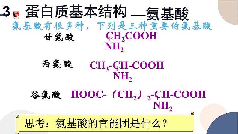 配套新教材-高中化学-RJ-必修第二册-第七章 第四节 第2课时 蛋白质 油脂课件PPT05