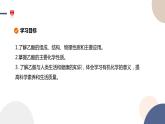 必修第二冊-第3章 第3節(jié) 第2課時 乙酸課件PPT