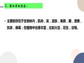 必修第二冊-第3章 第3節(jié) 第4課時 蛋白質(zhì)課件PPT