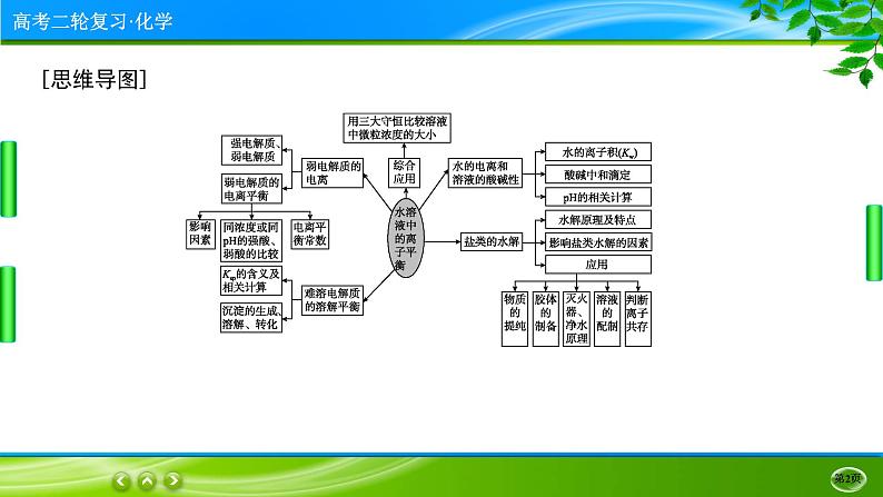 2023高三二轮复习化学（老高考）专题九　电解质溶液课件PPT02