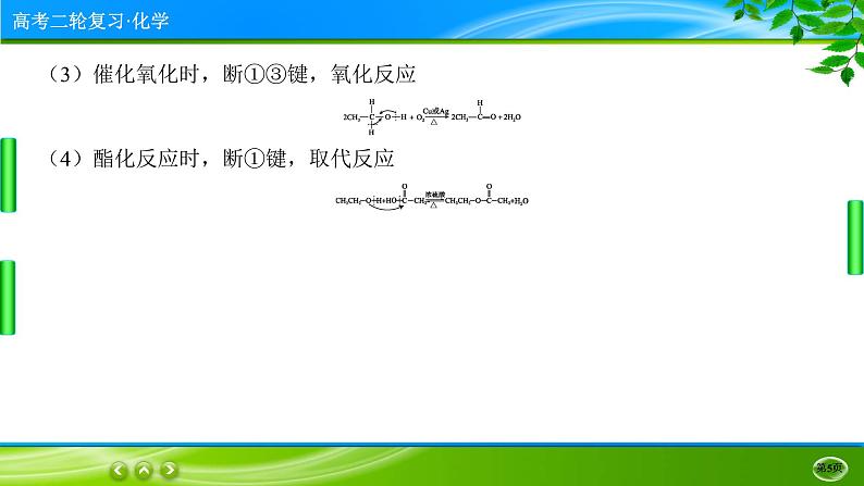 2023高三二轮复习化学（老高考）专题十二　常见有机物及其应用课件PPT第5页