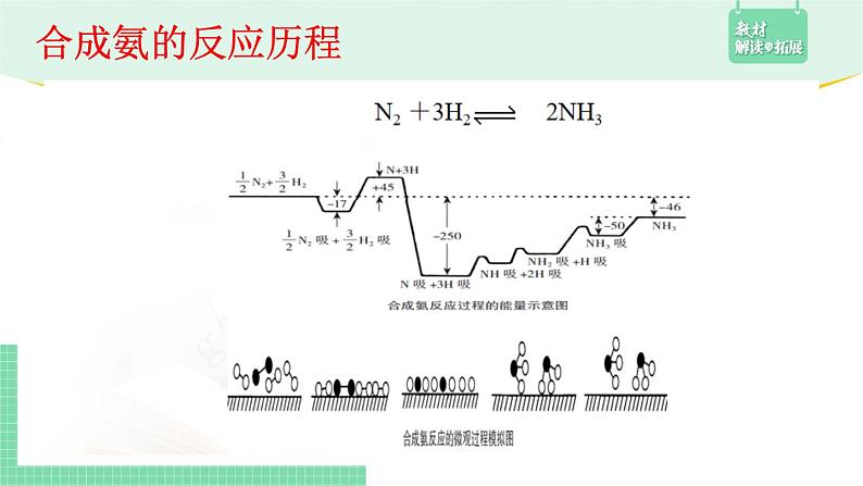 第四节 化学反应的调控2.4课件PPT第3页