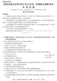 湖北省部分地市州2022-2023学年高三上学期元月调考化学试题PDF版含答案