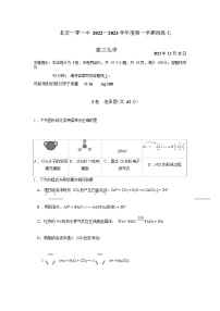 2022-2023学年北京101中学高三上学期12月统练7化学试题含解析