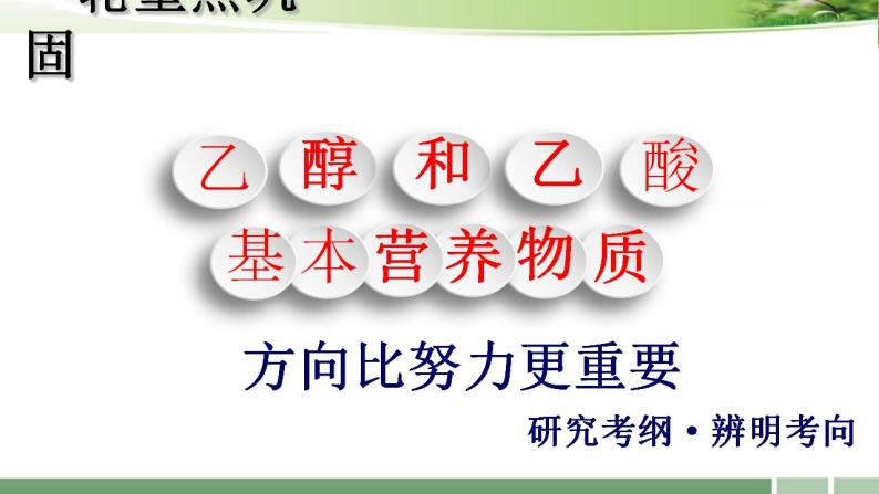 2023届高考化学一轮复习课件：《第30讲++乙醇和乙酸　基本营养物质》01