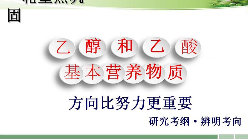 2023届高考化学一轮复习课件：《第30讲++乙醇和乙酸　基本营养物质》01