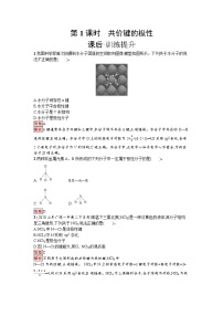 人教版 (2019)选择性必修2第一节 共价键精品第1课时练习