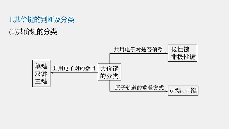 第二章 微专题3 微粒间作用力的判断及对物质性质的影响课件PPT02