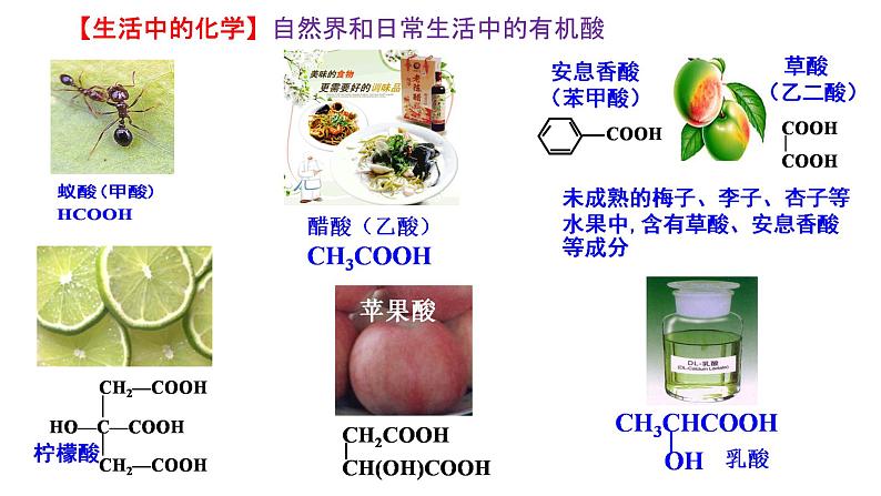 2020-2021学年高二化学人教版2019高中化学选择性必修三第三章第四节第一课时羧酸课件第2页