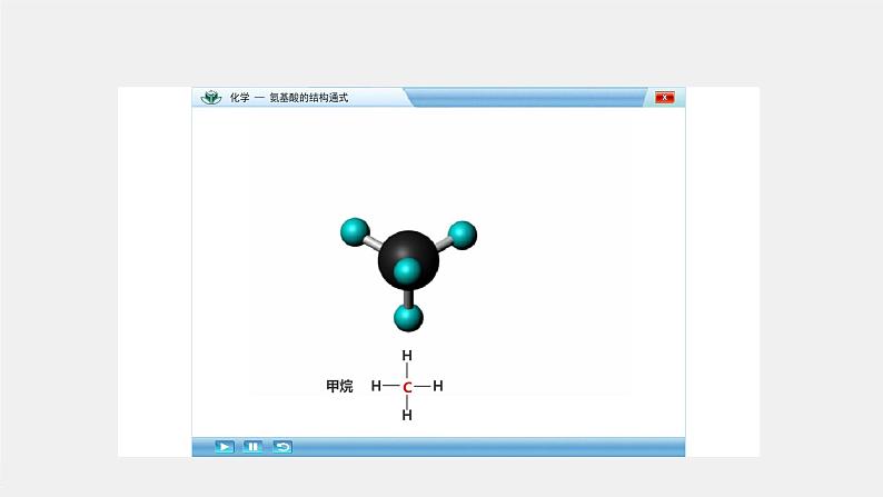 第4章 第二节 蛋白质课件PPT05