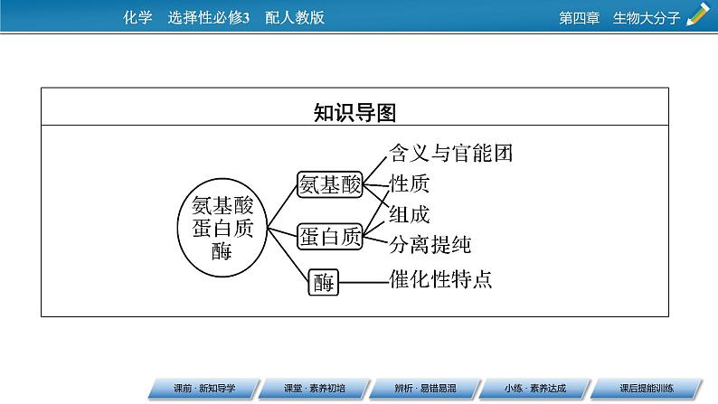 第4章 第2节 第二节　蛋白质课件PPT03