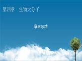 第四章　生物大分子 總結課件PPT
