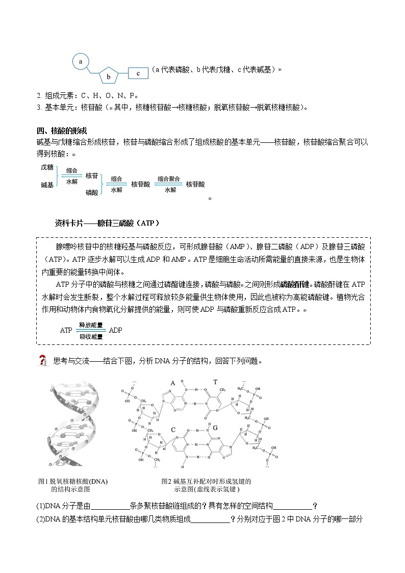 第25讲 核酸（教师版）-高二化学同步精品讲义（人教2019选择性必修3）第2页