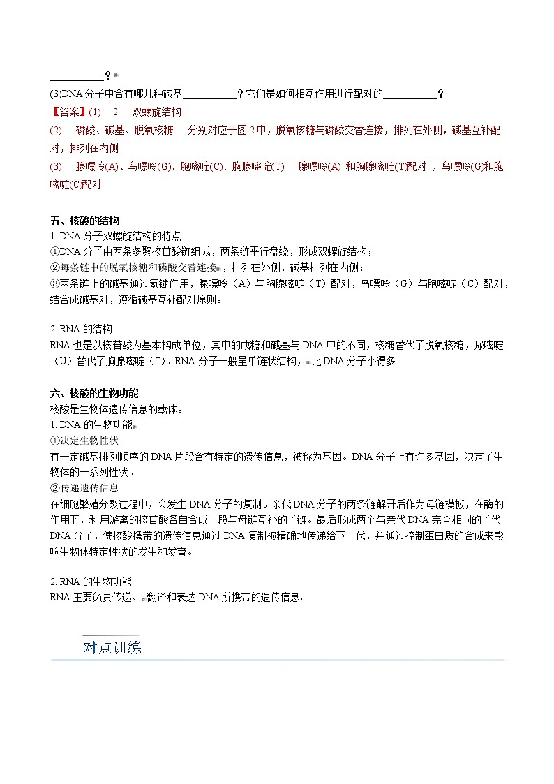 第25讲 核酸（教师版）-高二化学同步精品讲义（人教2019选择性必修3）第3页