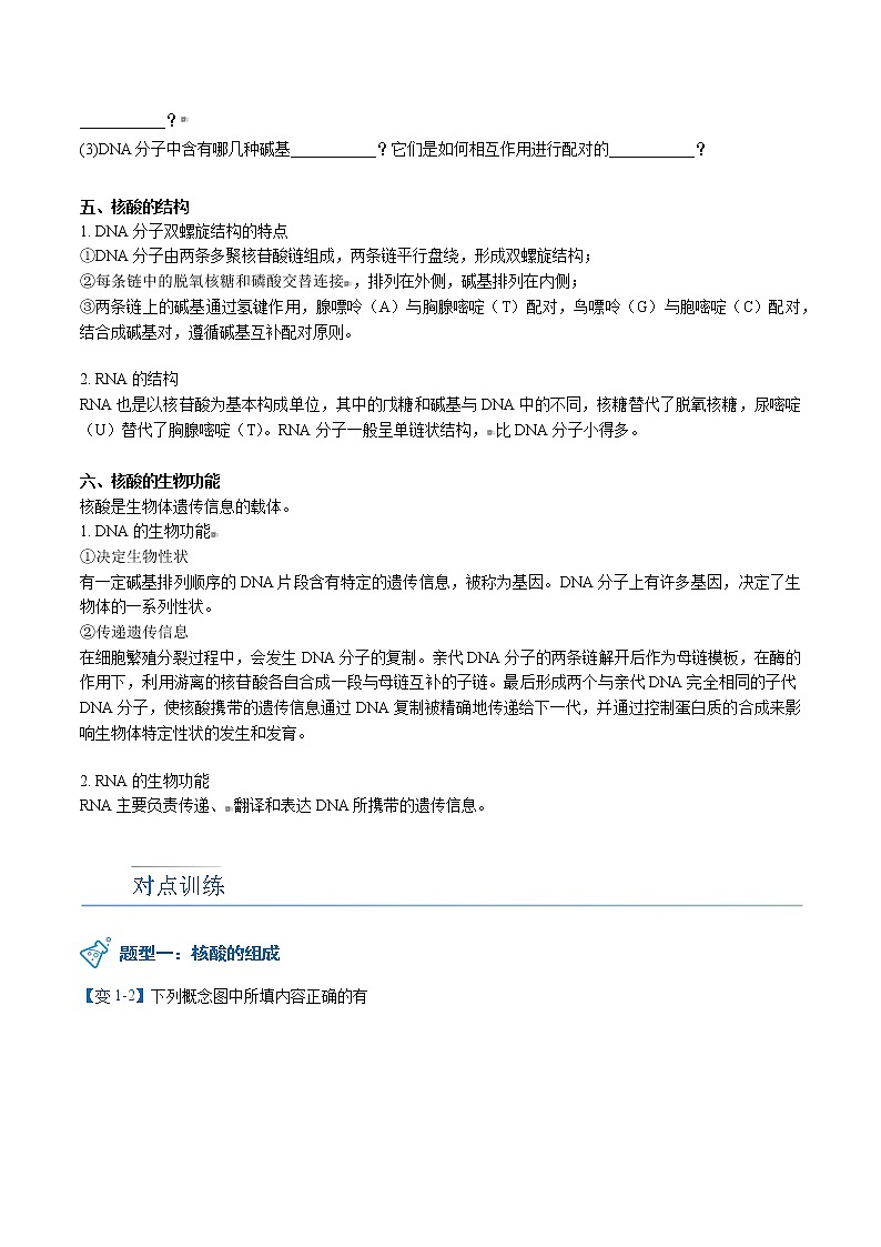 第25讲 核酸（学生版）-高二化学同步精品讲义（人教2019选择性必修3）第3页