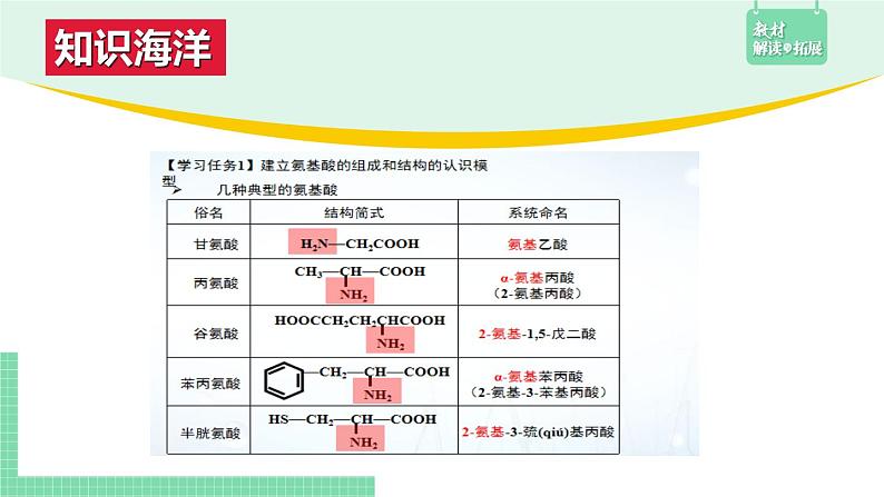 4.2.1 蛋白质课件PPT07