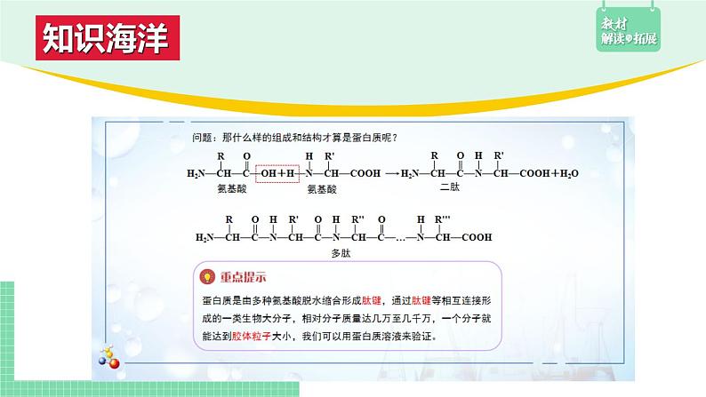 4.2.2 蛋白质课件PPT06